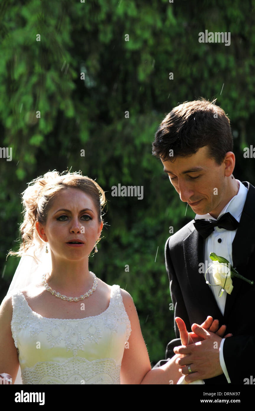 Wedding album bride and groom Stock Photo Alamy