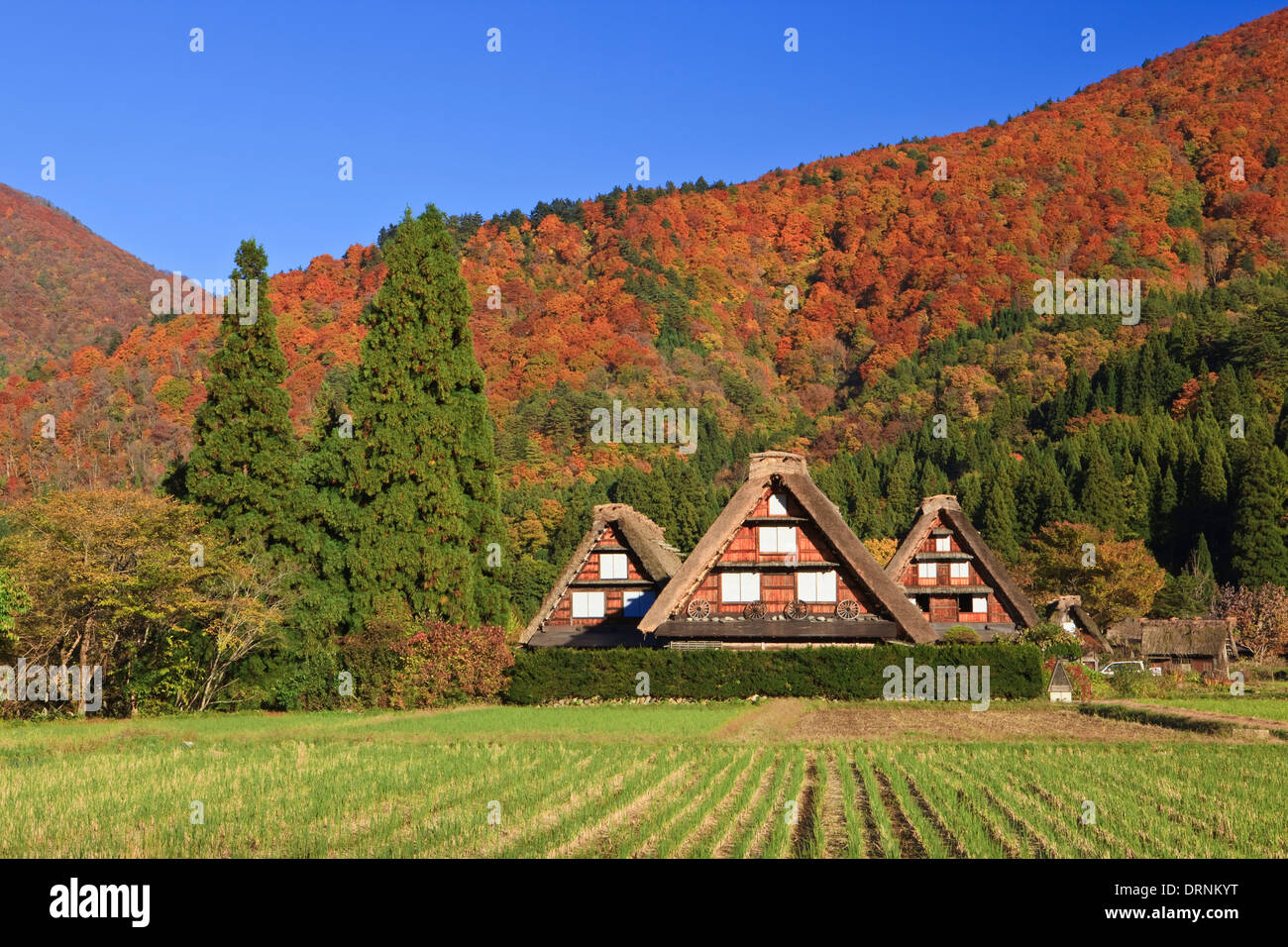 Shirakawa-go  World Heritage Stock Photo