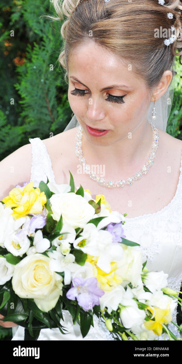 Wedding album bride and groom Stock Photo Alamy