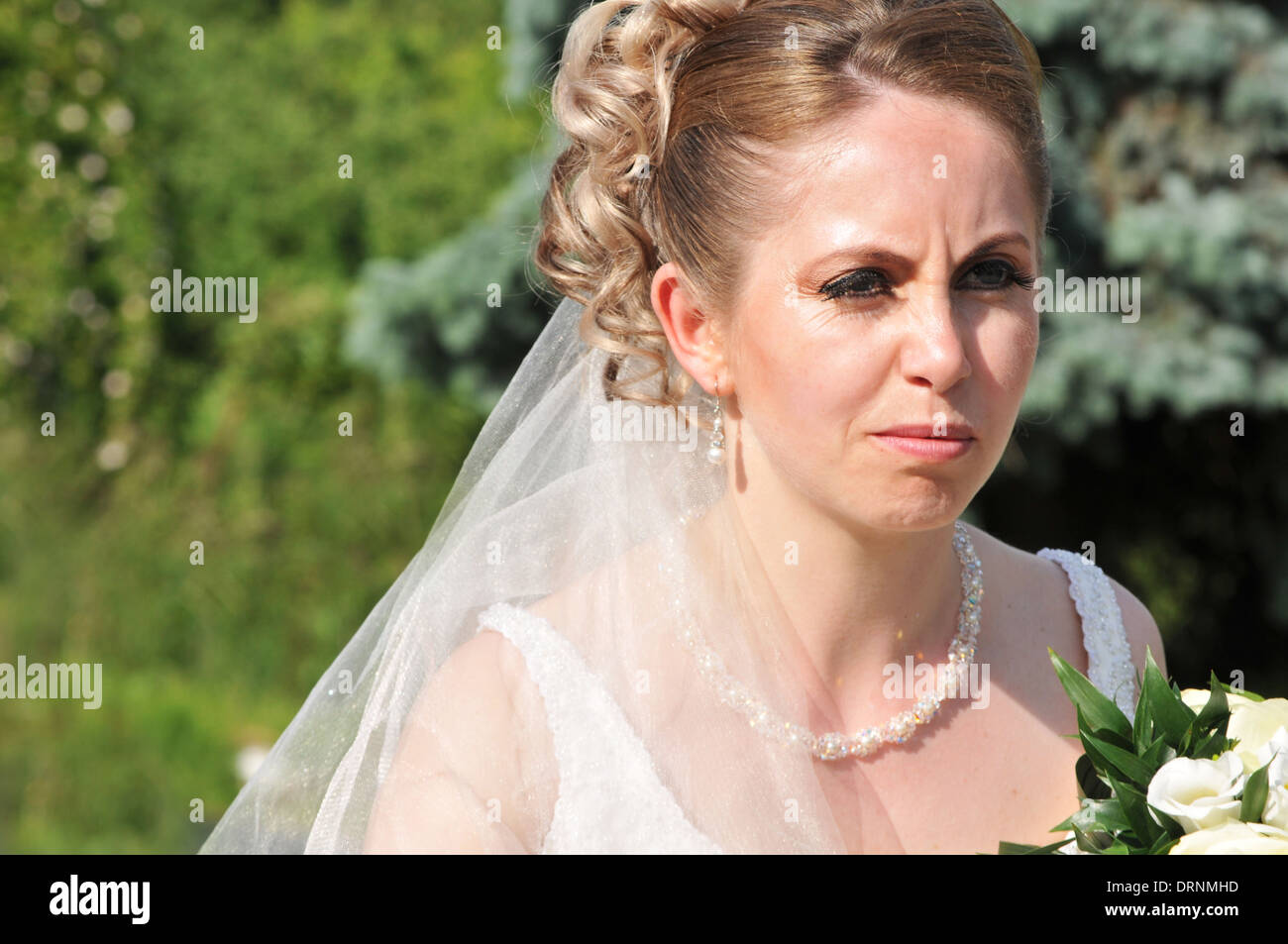 Wedding album bride and groom Stock Photo Alamy