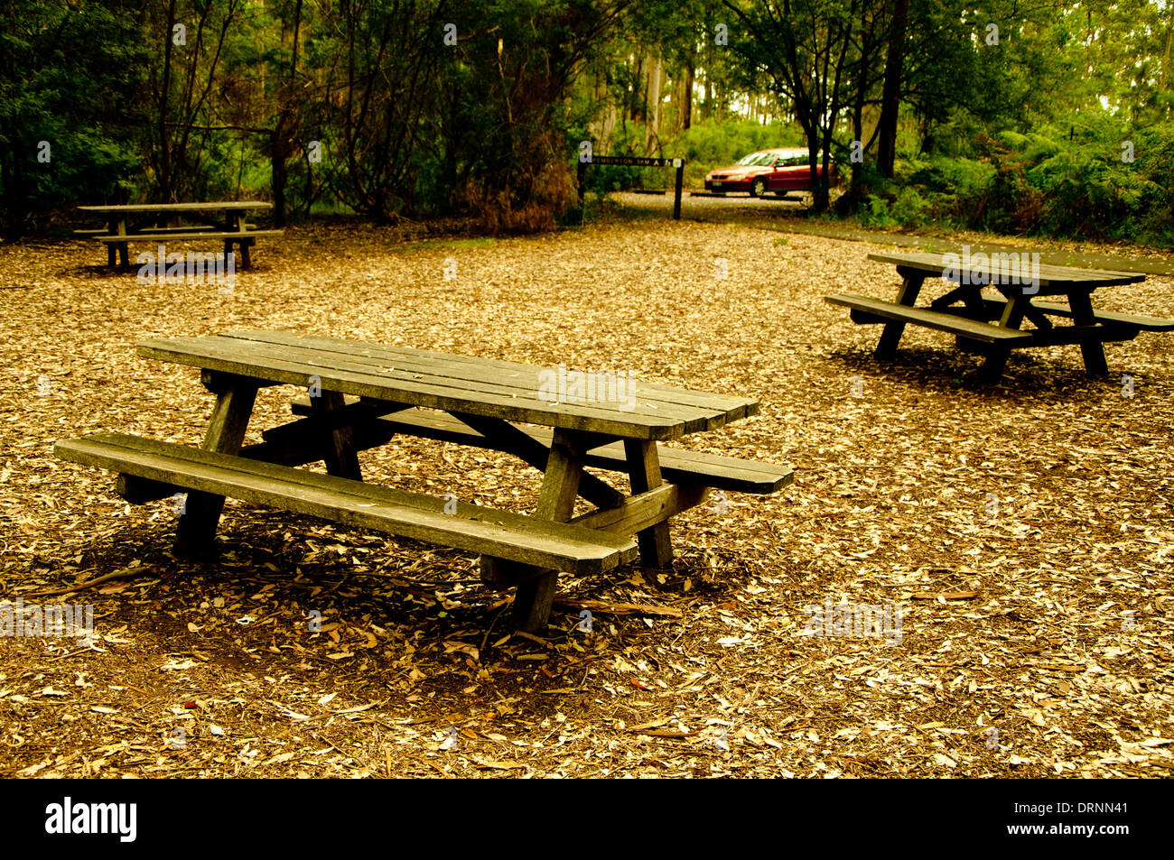 Bench In Woods Benches in the woods hi-res stock photography and images - Alamy