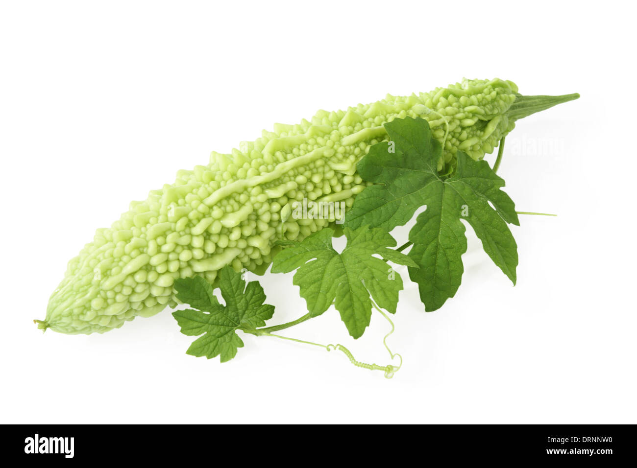 balsam pear and leaf Stock Photo