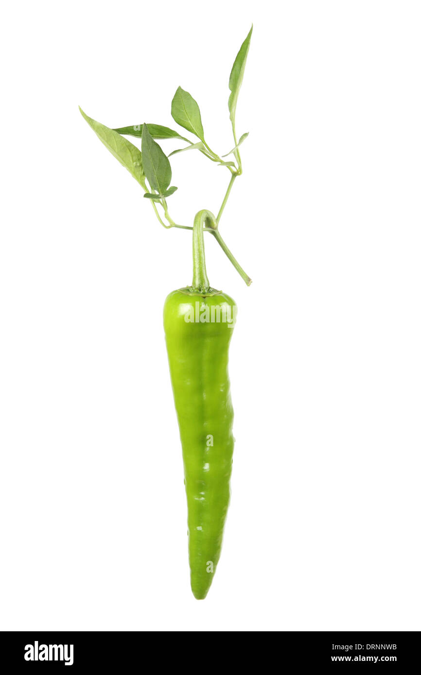 Green pepper hi-res stock photography and images - Alamy