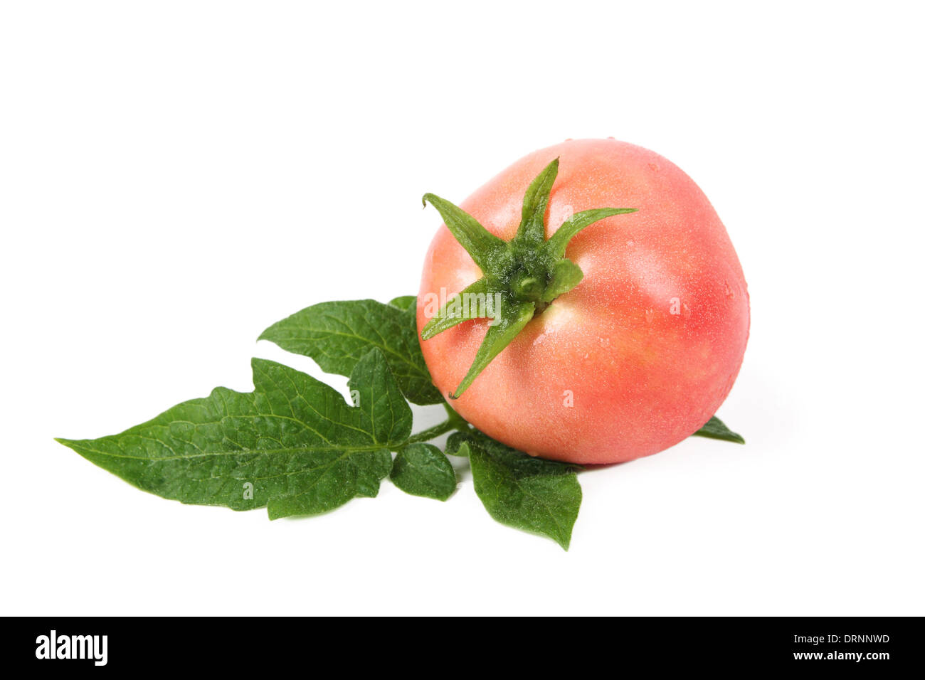 tomato and leaf Stock Photo