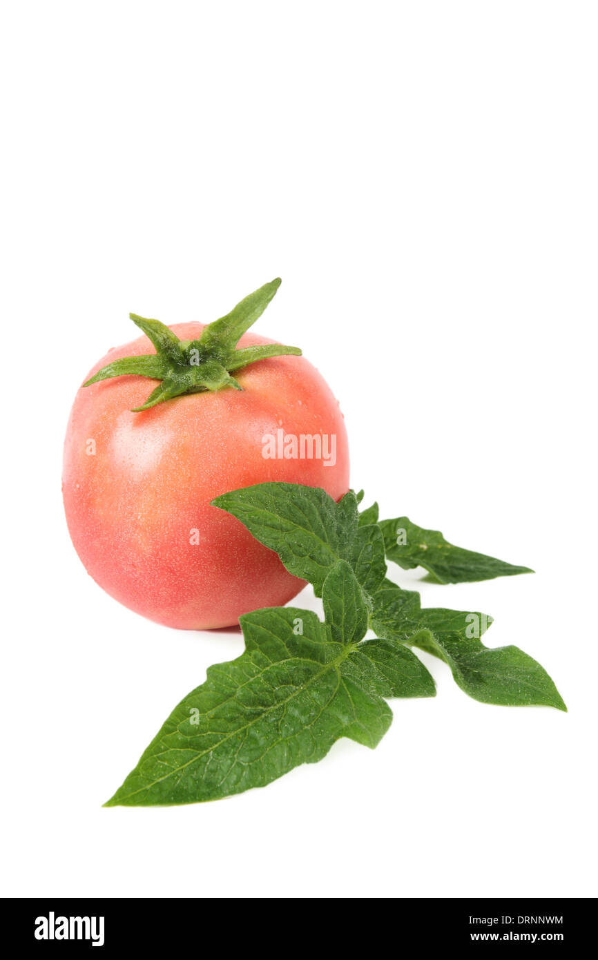 tomato and leaf Stock Photo