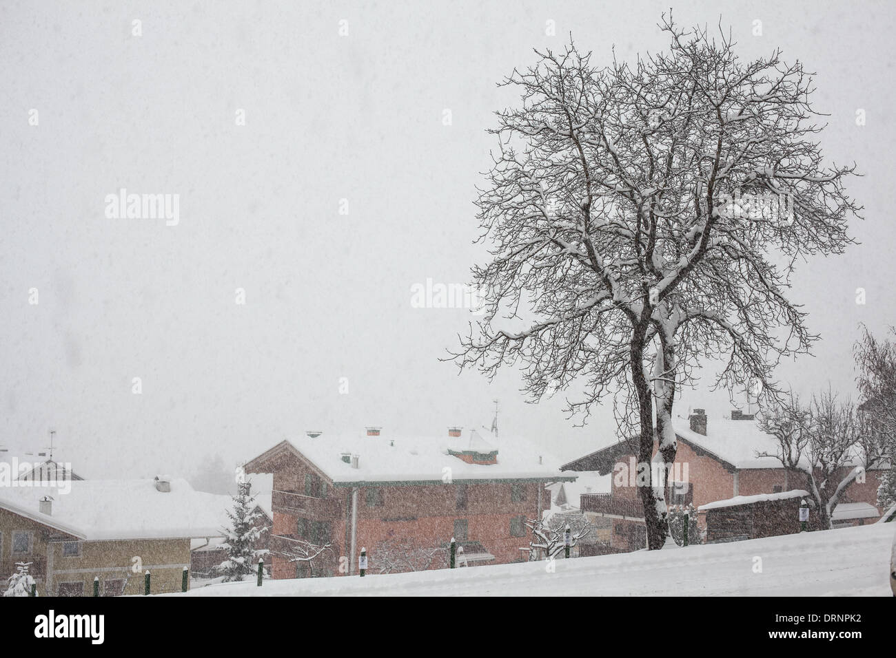 Folgaria, Italy 30 January 2014 - A snowstorm is hitting the Italian Alps, especially the Trentino-Alto Adige. Credit:  Carmine Flamminio/Alamy Live News Stock Photo