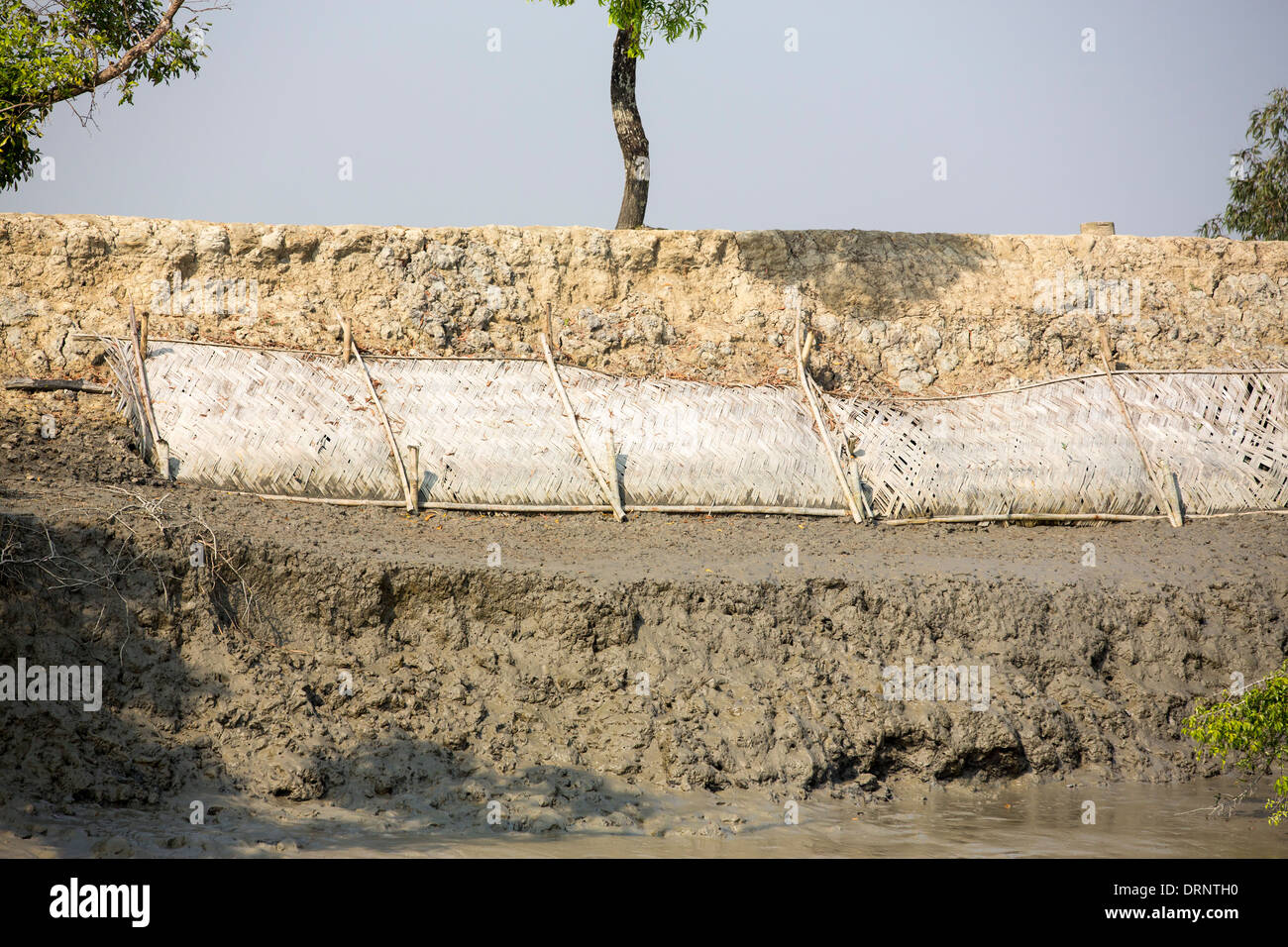 Coastal flood defences in the Sunderbans a low lying area of the Ganges Delta that is vulnerable to sea level rise, India. Stock Photo