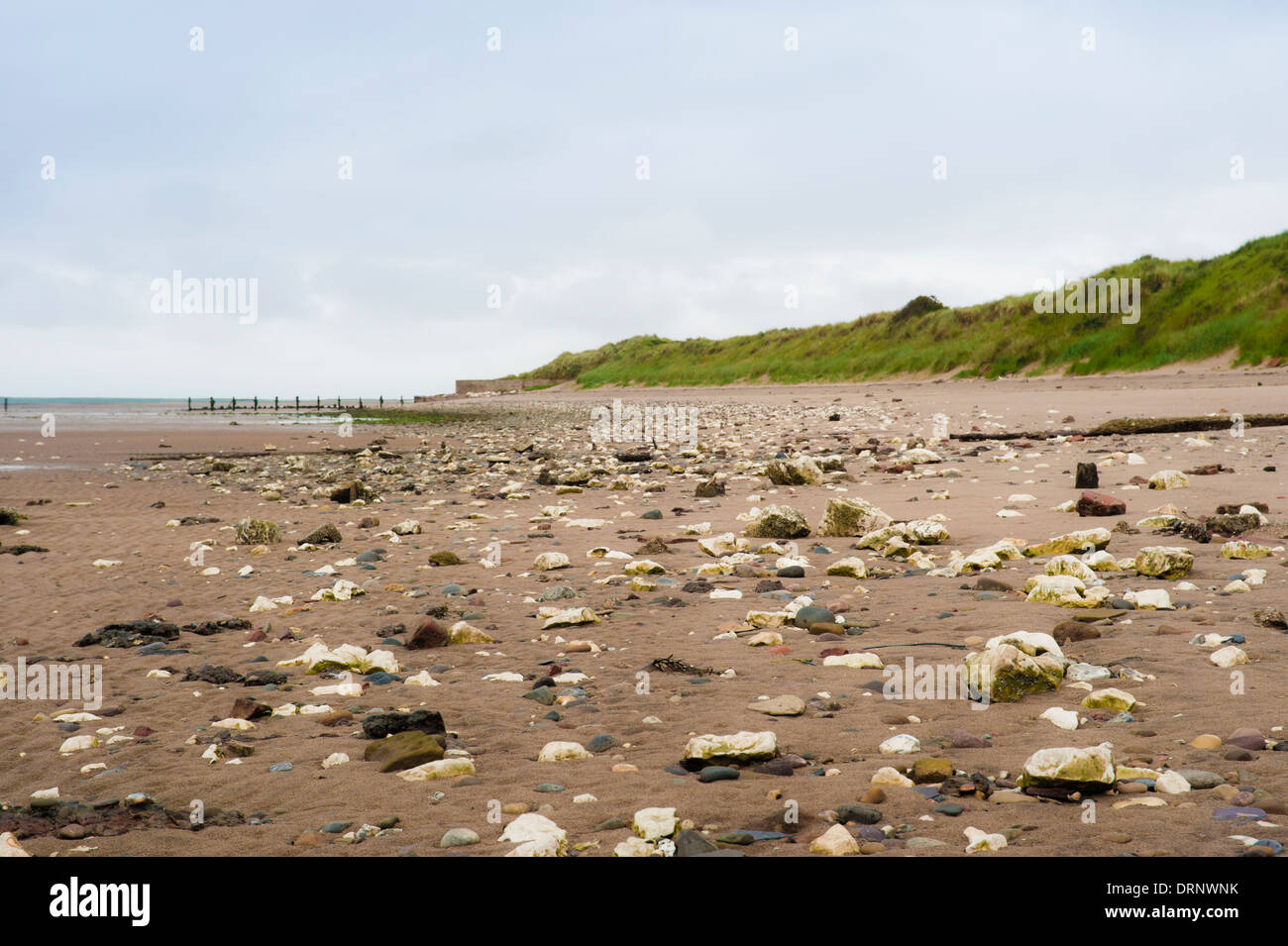 Low tide in the Humber estuary, Spurn Point, Humberside. Stock Photo