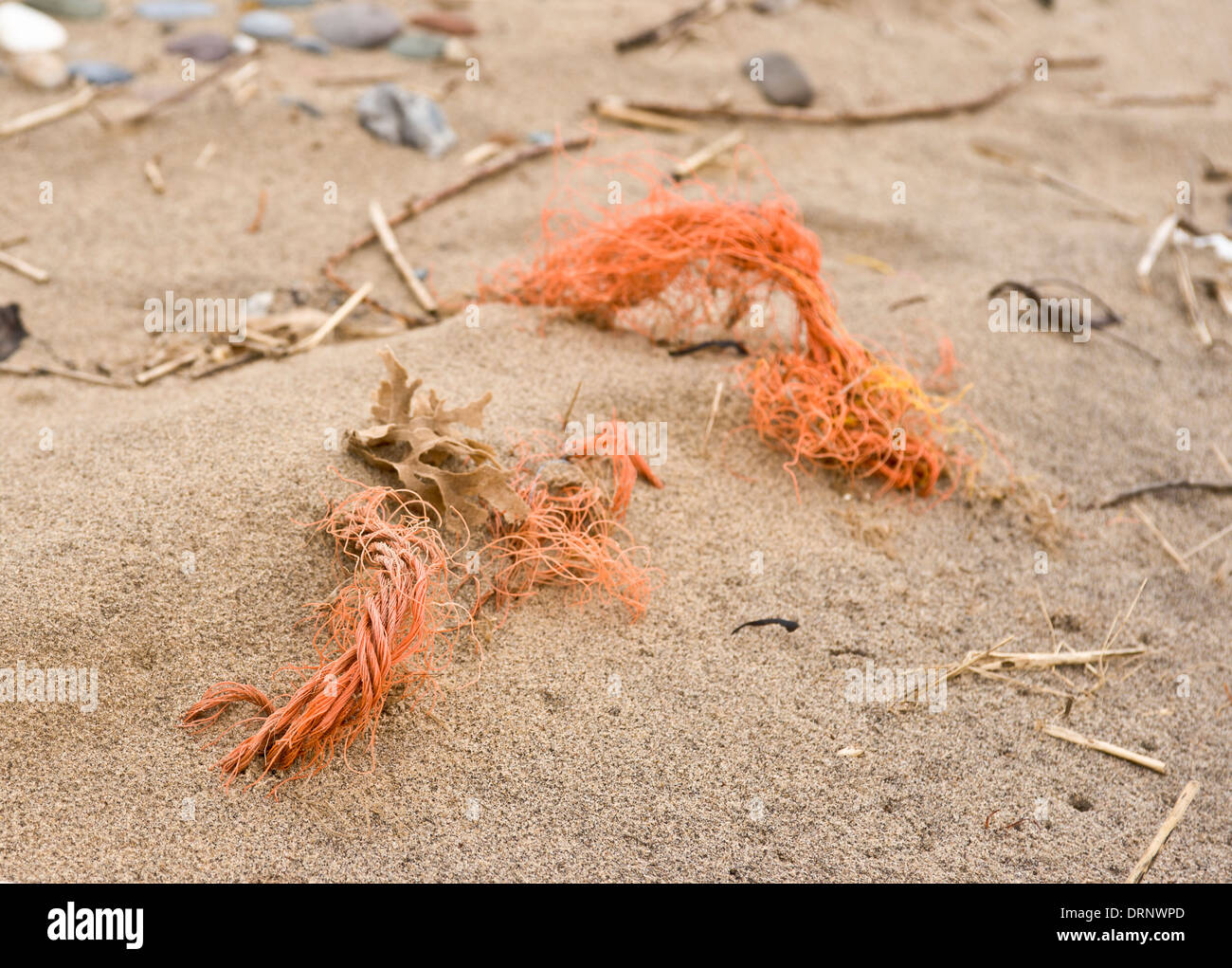 Orange nylon rope washed up on the beach at Spurn point. Stock Photo