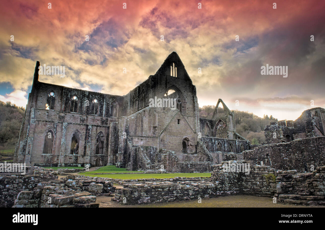 Tintern Abbey (Welsh: Abaty Tyndyrn), Monmouthshire, Wales, Uk Stock Photo