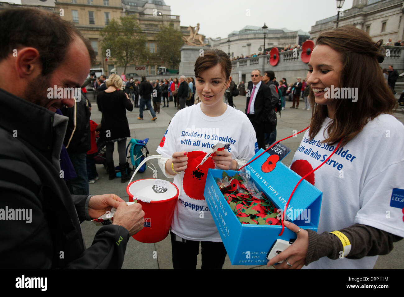 Poppy Appeal Stock Photo