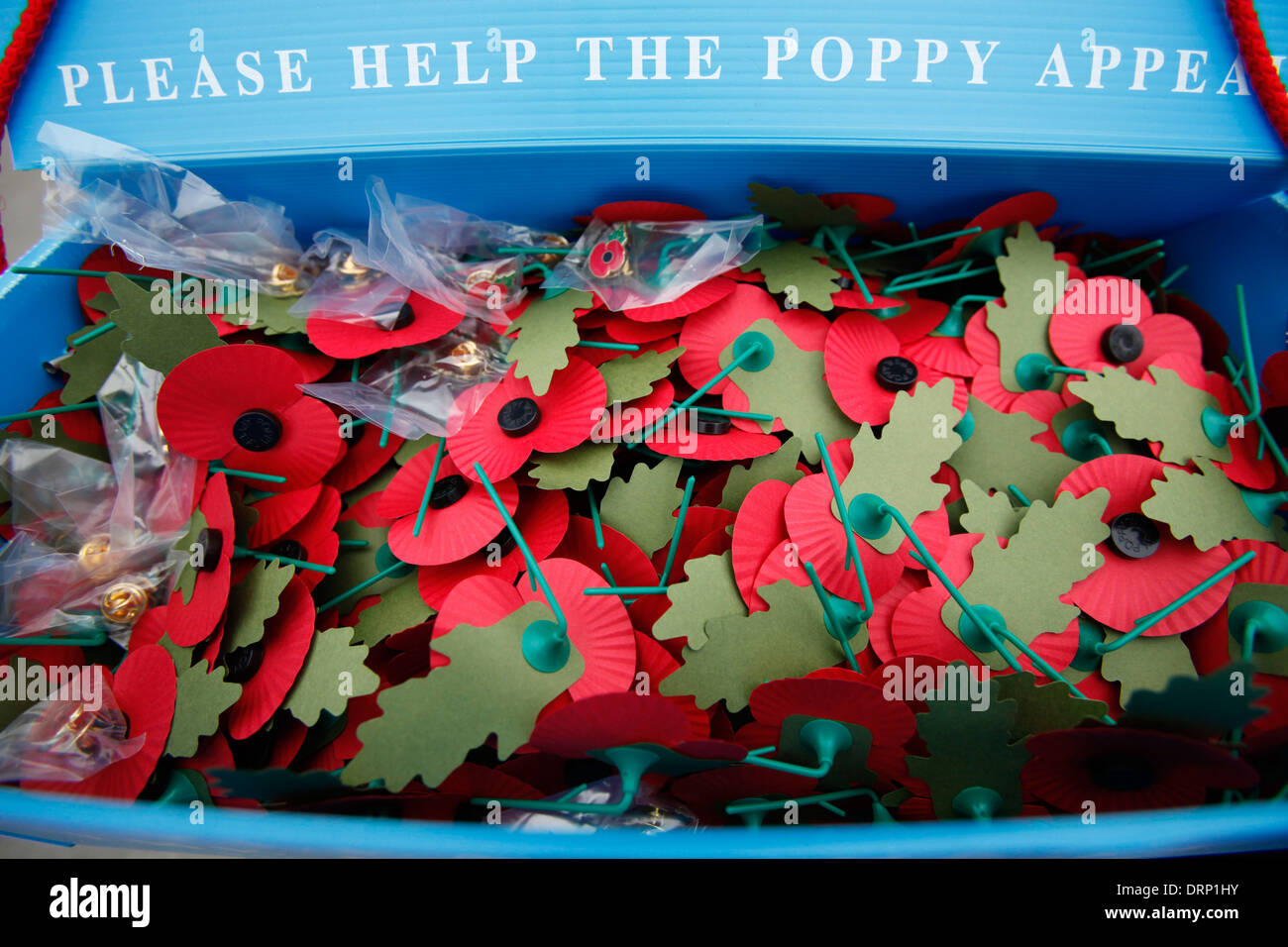 Poppy Appeal Stock Photo
