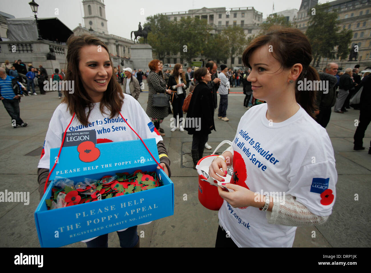 Poppy Appeal Stock Photo