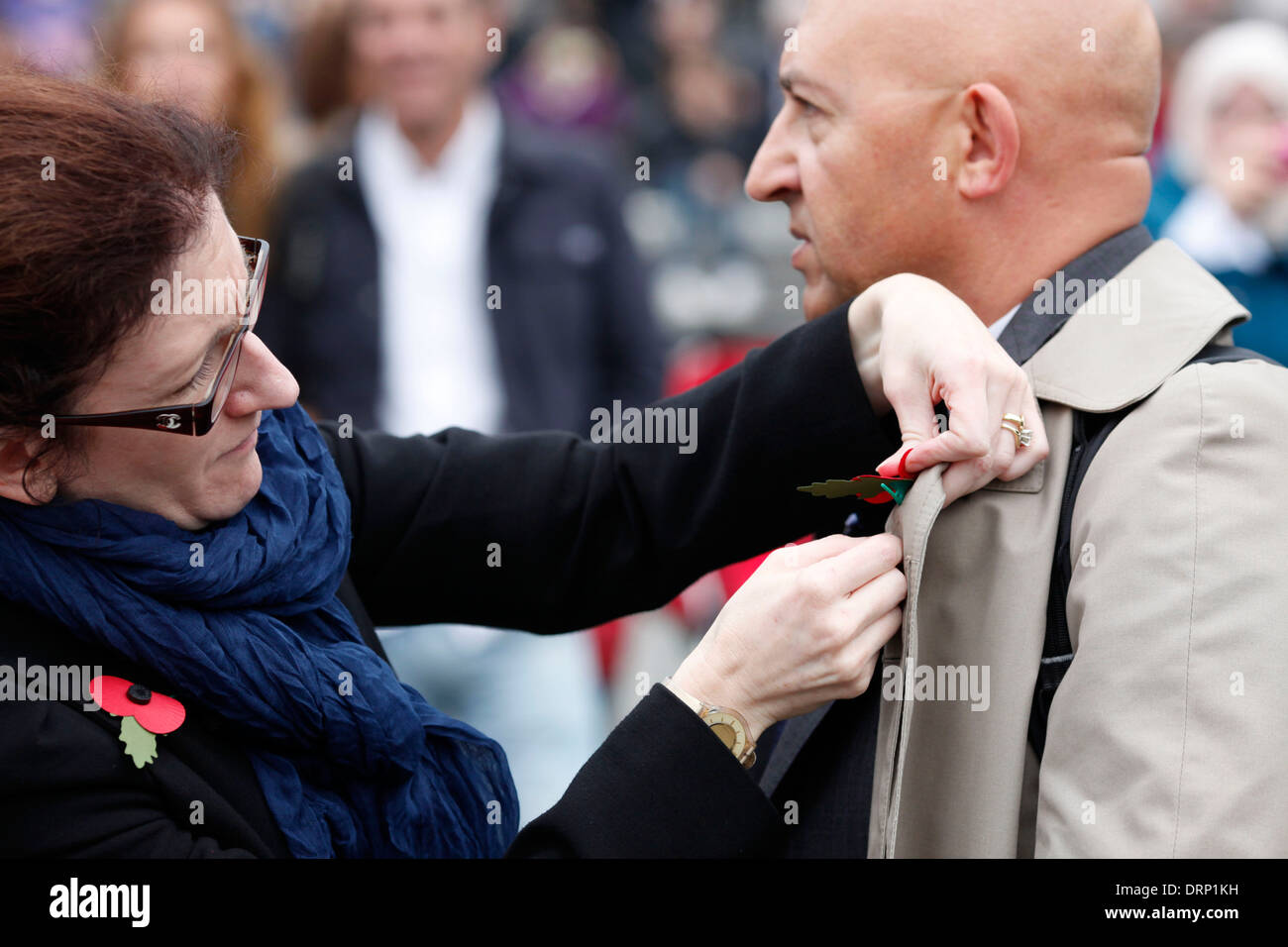 Poppy Appeal Stock Photo