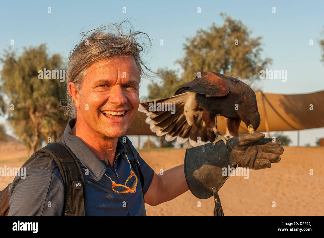 United Arab Emirates Ras Al-Khaimah - November 2013. Al Wadi Falcon ...