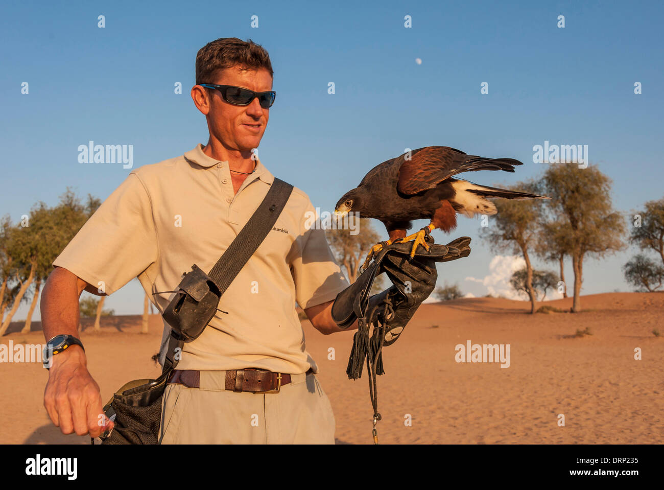 United Arab Emirates Ras Al-Khaimah - November 2013. Al Wadi Falcon ...
