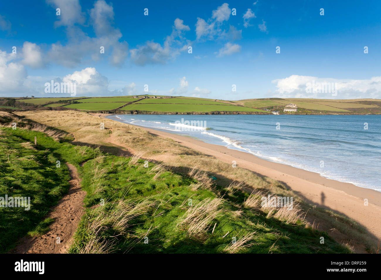 Harbour Cove; Padstow; Cornwall; UK Stock Photo Alamy