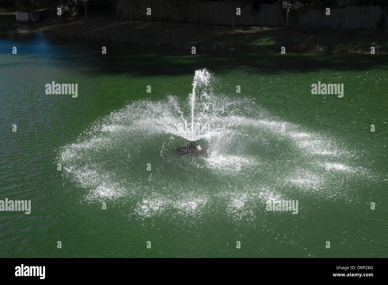 Shands Cancer Hospital at the University of Florida in Gainesville. The