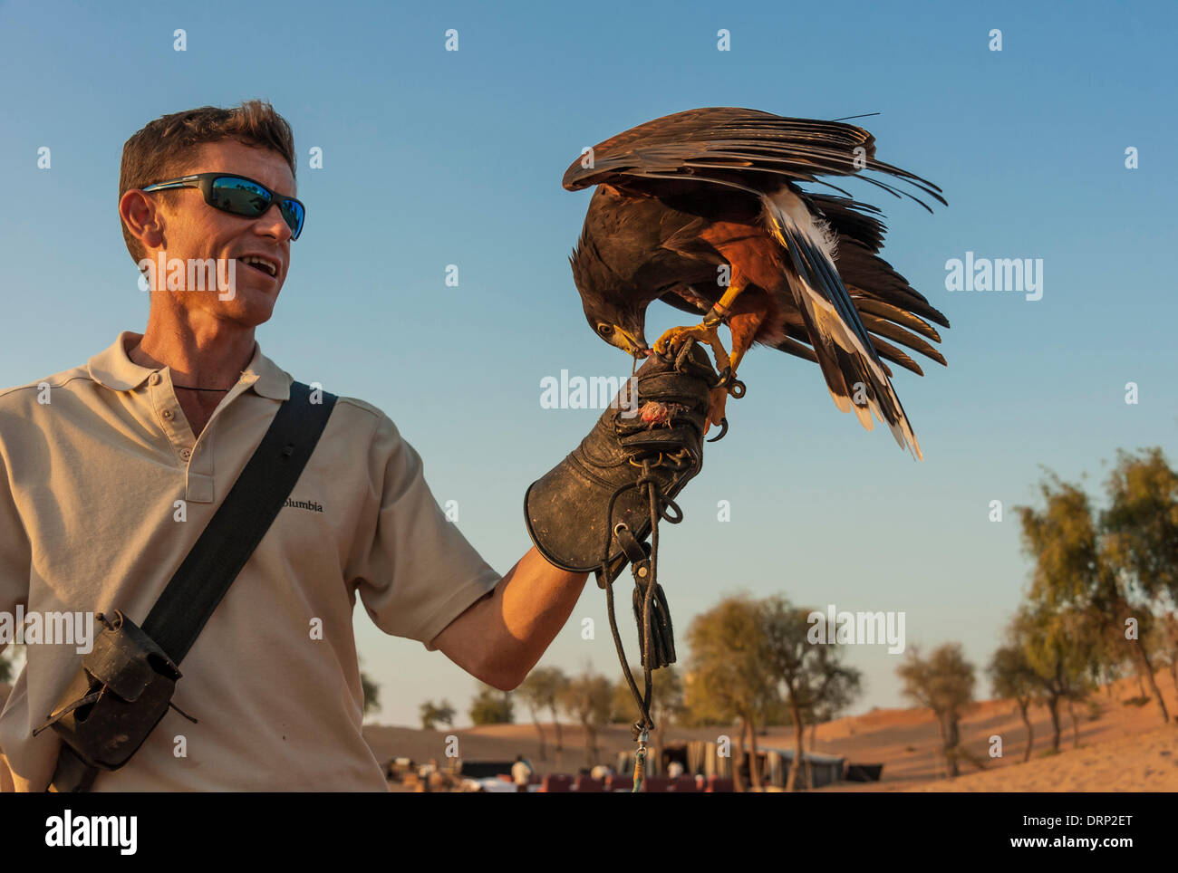 United Arab Emirates Ras Al-Khaimah - November 2013. Al Wadi Falcon ...