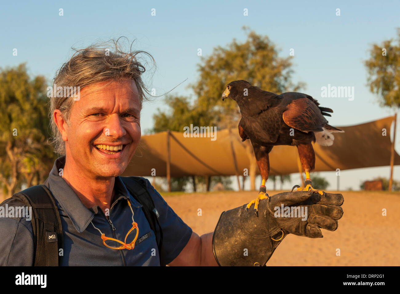 United Arab Emirates Ras Al-Khaimah - November 2013. Al Wadi Falcon ...