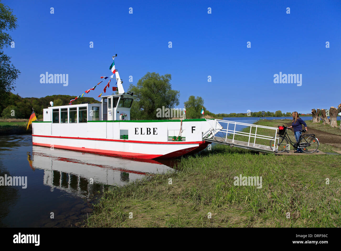 Cycle ferry in Hitzacker, Elbe cycle route, Lower Saxony, Germany, Europe Stock Photo