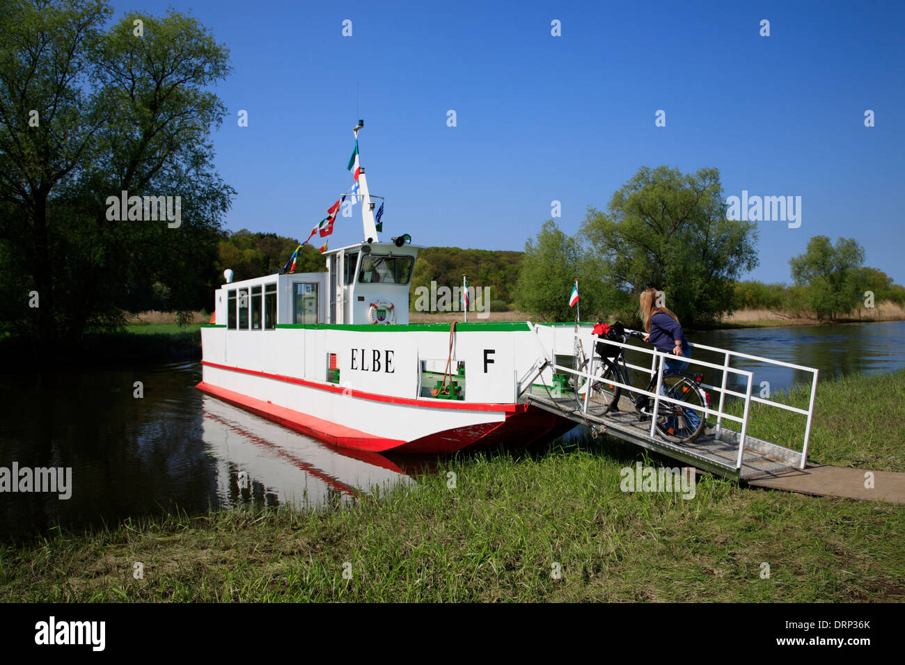 Cycle ferry in Hitzacker, Elbe cycle route, Lower Saxony, Germany, Europe Stock Photo