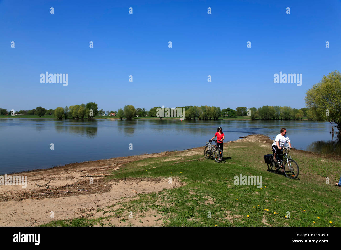 Cyclist in Vietze, Elbe river cycle route, Lower Saxony, Germany, Europe Stock Photo