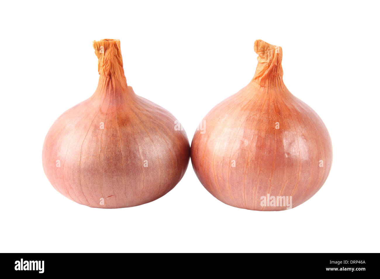 two ripe onions Stock Photo