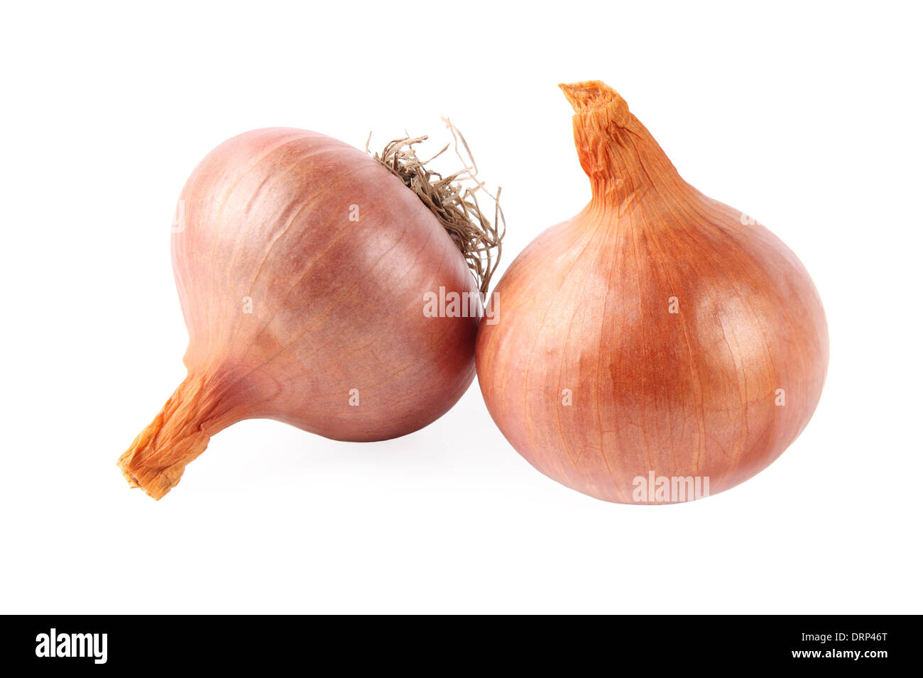 two onions Stock Photo