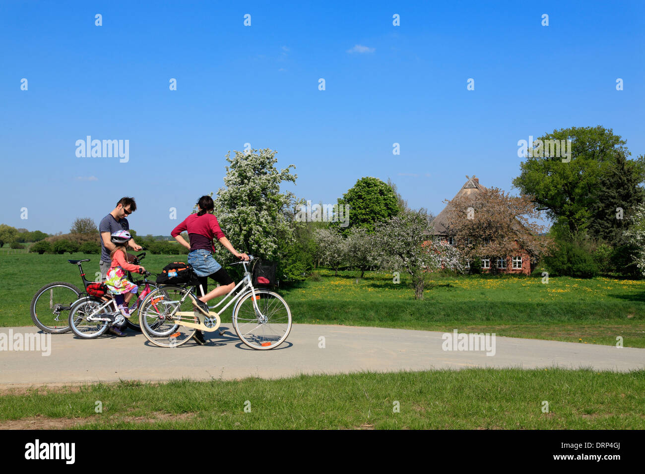 Cyclist on Elbe river route at Vockvey,  Amt Neuhaus, Lower Saxony, Germany, Europe Stock Photo