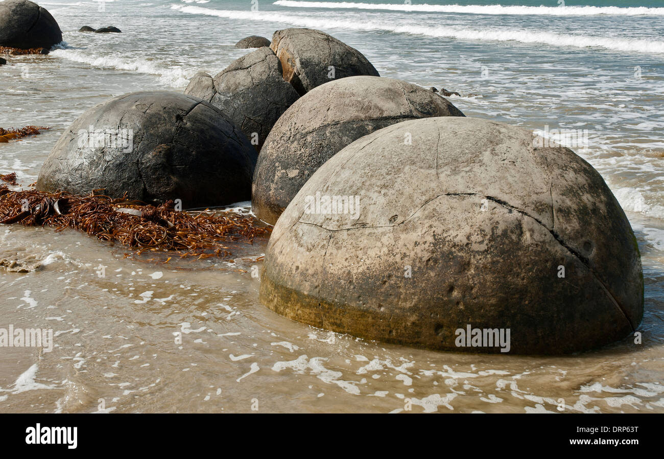 Moeraki Boulders on Kockohe Beach on the Otago coast between Hampden and Moeraki. They are septarian concretions Stock Photo