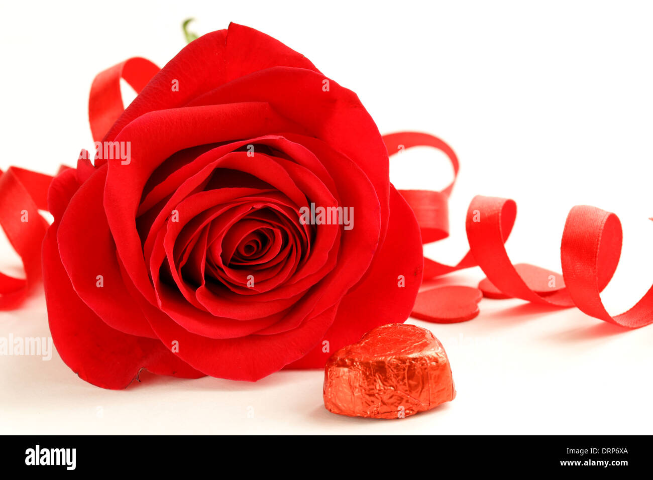 red beautiful rose with a festive ribbon on white background Stock ...