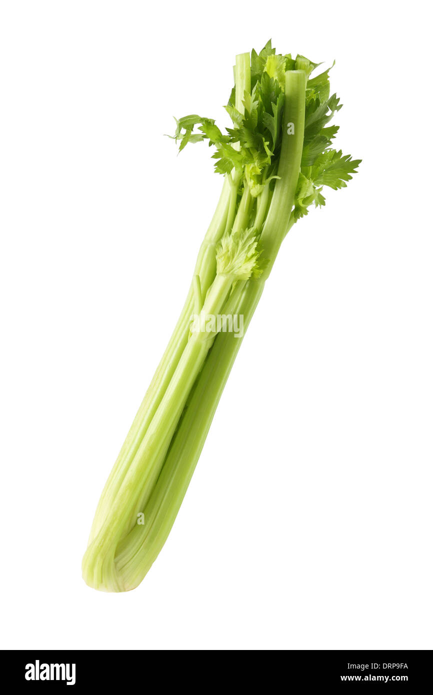 Celery stalk hires stock photography and images Alamy