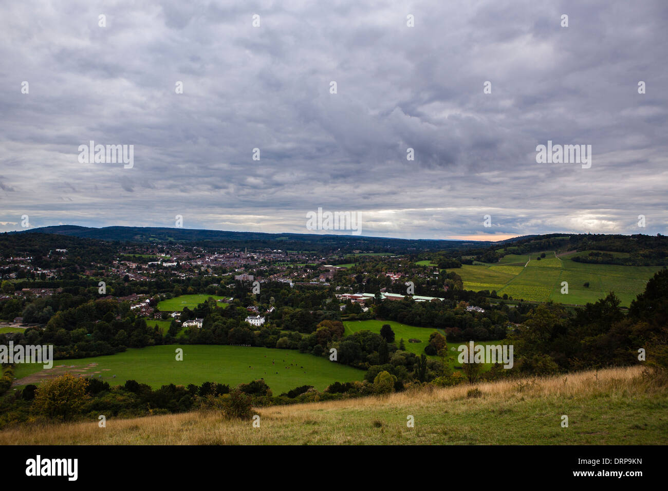 Box Hill, Surrey Stock Photo Alamy