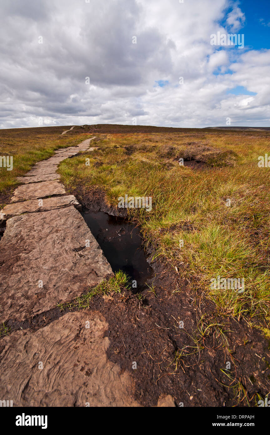 Footpath from Back Tor to Lost Lad on Derwent Edge in the Peak District National Park. The path crosses the peat bog moorland. Stock Photo