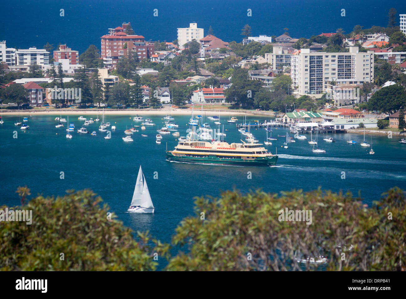 Manly ferry 'Collaroy' approaching wharf at Manly seen from Dobroyd Head North Harbour Sydney New South Wales NSW Australia Stock Photo