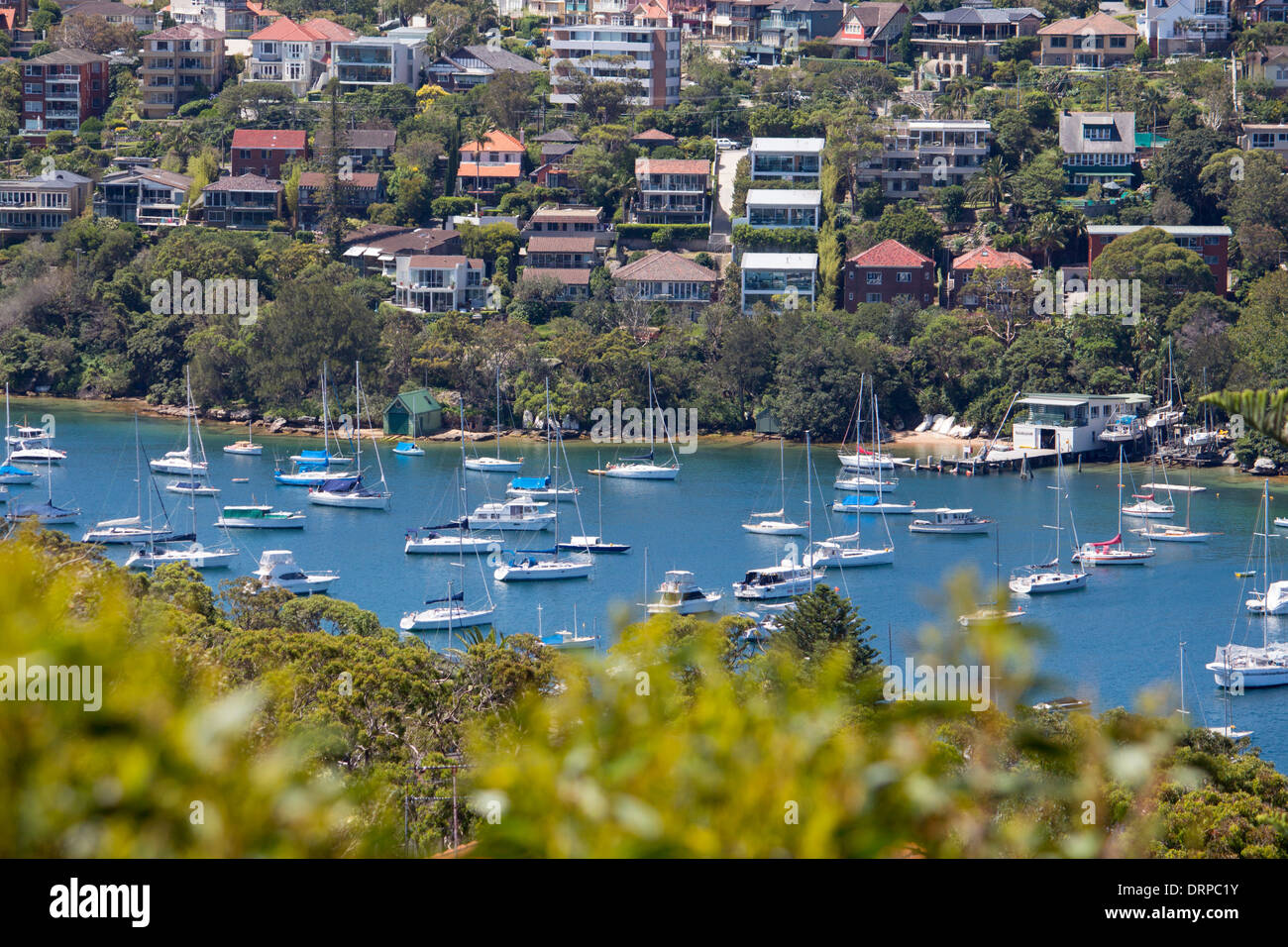 North Harbour Sydney suburbia suburbs houses on hillside overlooking harbour Sydney New South