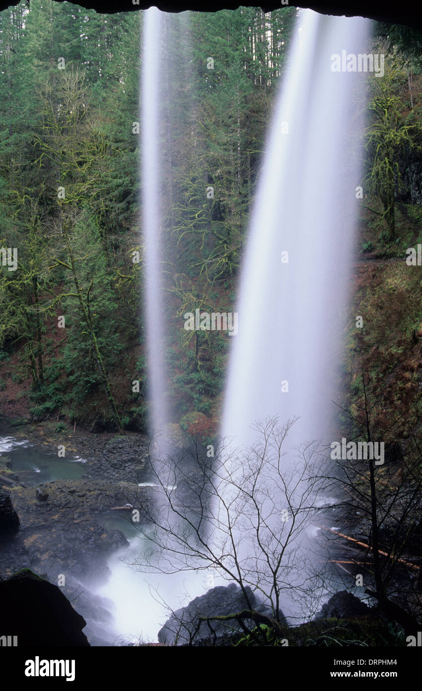 North Falls, Silver Falls State Park, Oregon Stock Photo Alamy