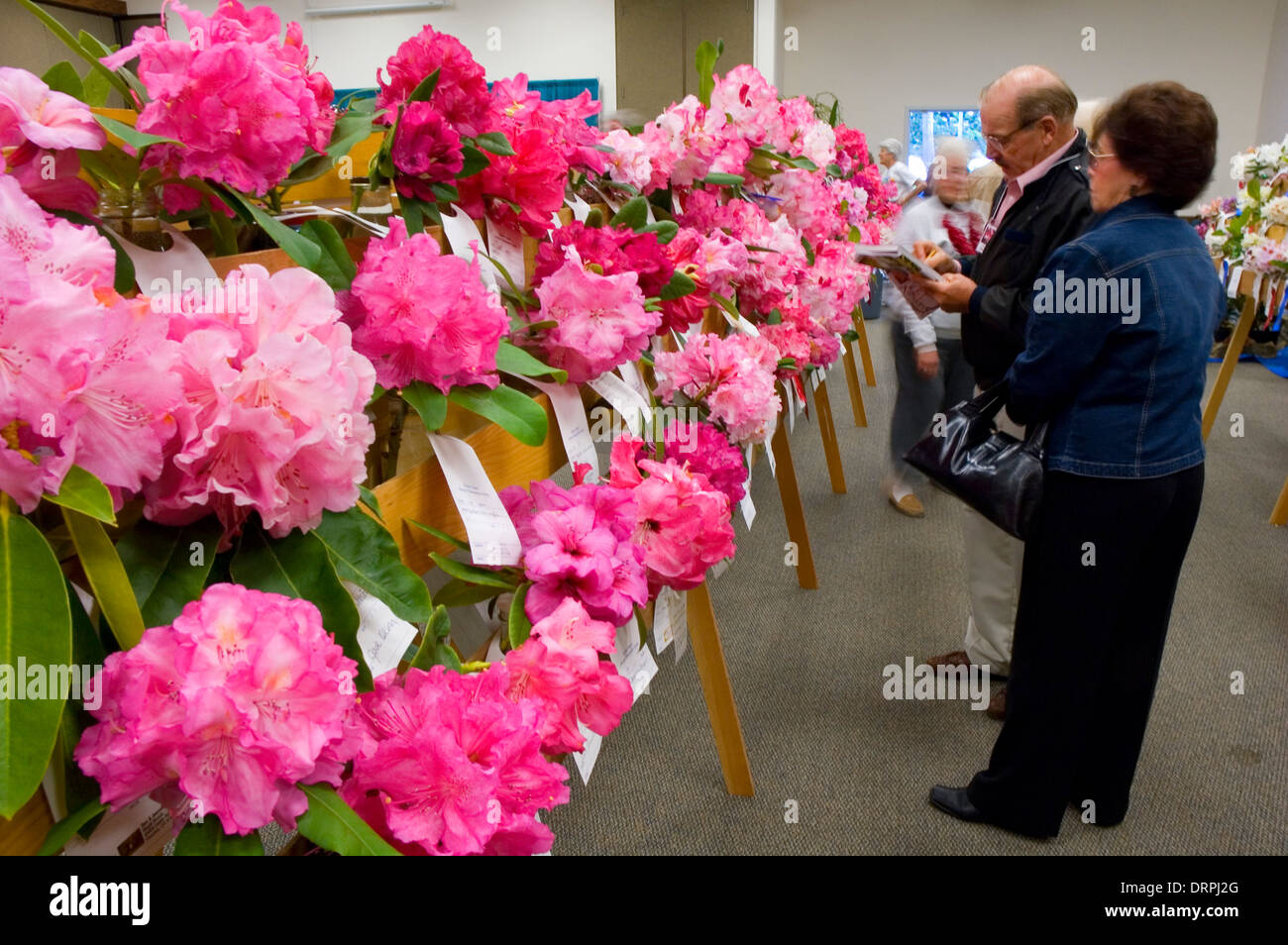 Rhododendron Flower Show, Rhododendron Festival Carnival, Florence