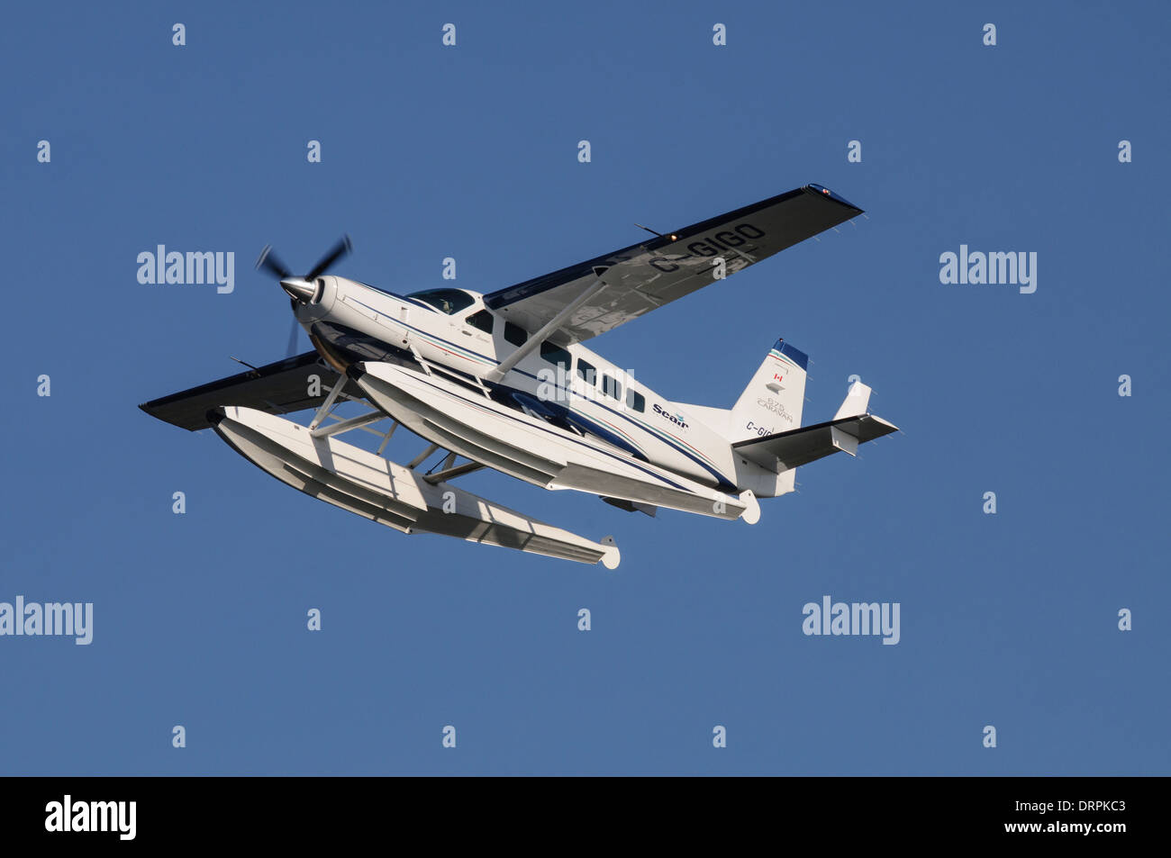 Seair Seaplanes Cessna 208 Caravan float plane C-GIGO airborne Stock Photo