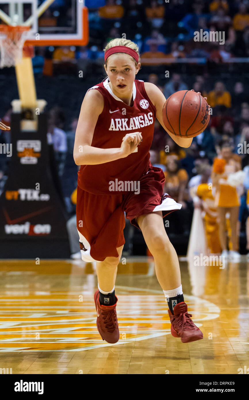 Lady Razorbacks High Resolution Stock Photography and Images - Alamy