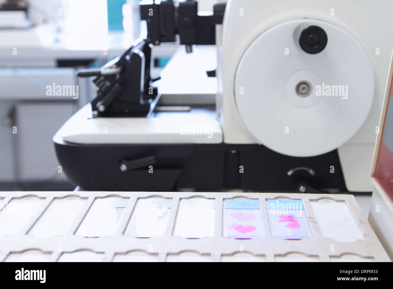 microscope with glass slides in a histology or pathology labor Stock