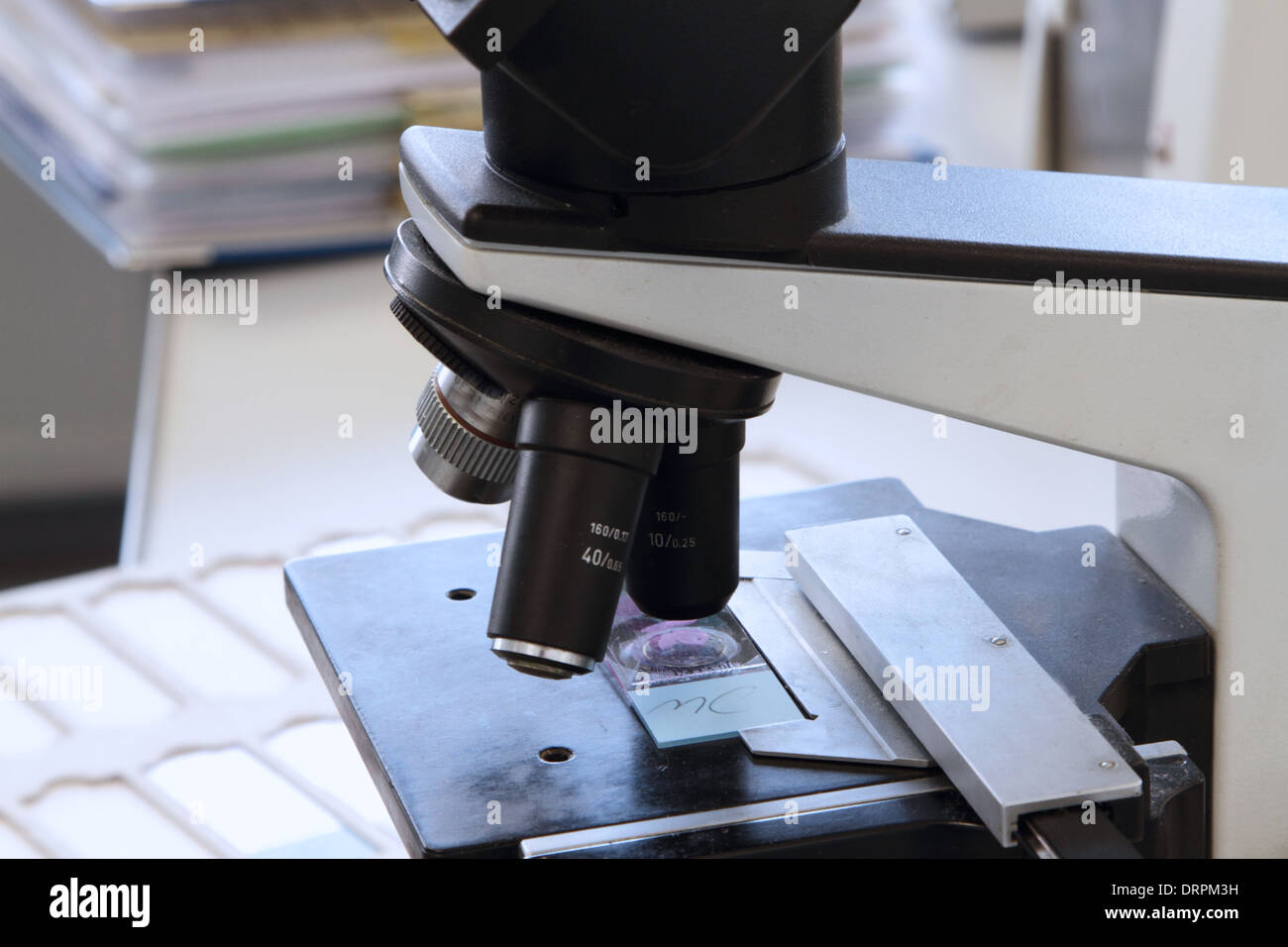 microscope with glass slides in a histology or pathology labor Stock