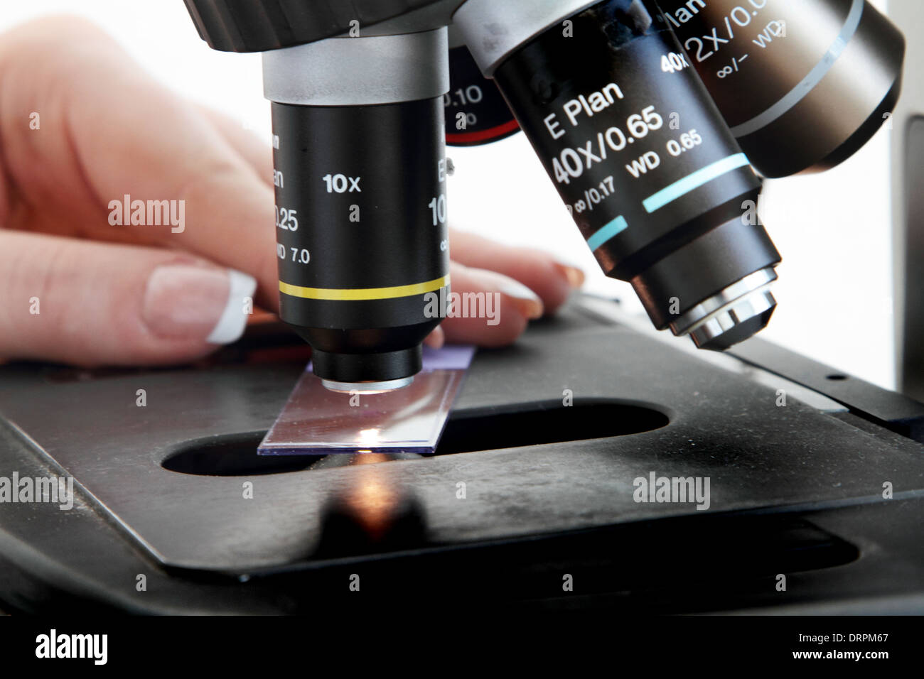 histology lab