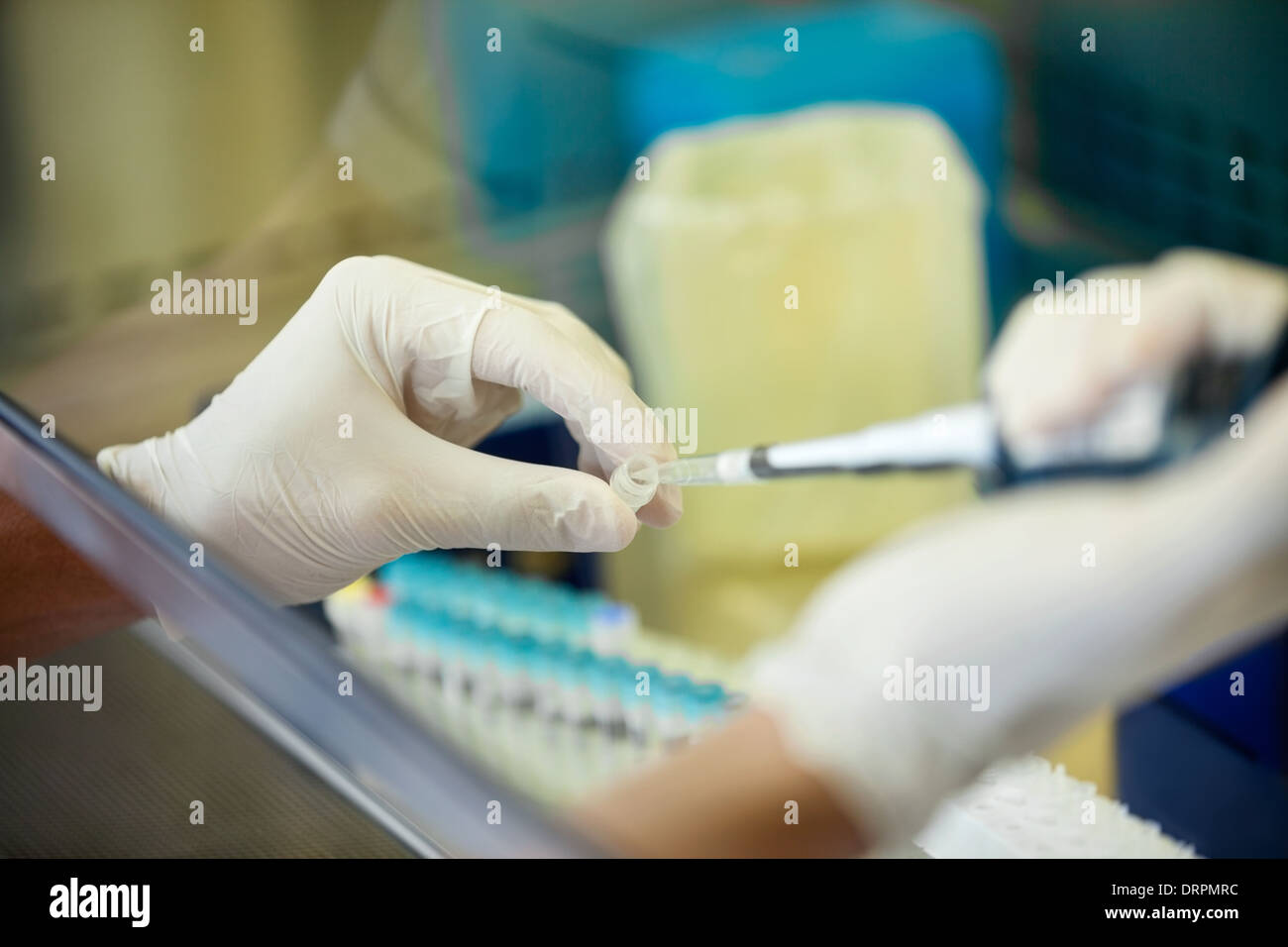Researcher Experimenting In Laboratory Stock Photo