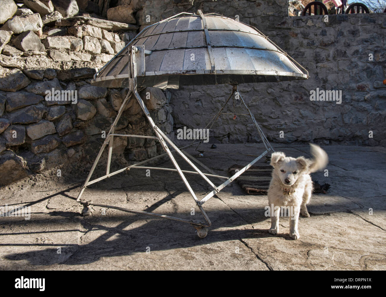 solar cooker and cute dog in Kagbeni village in the Mustang region of Nepal Stock Photo