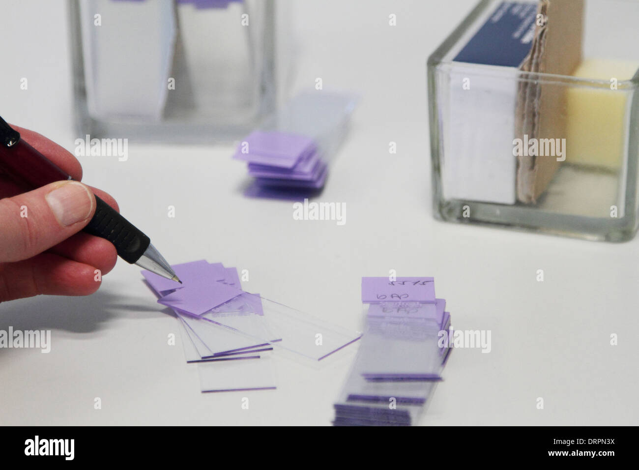 samples of glass slides in a histology or pathology labor Stock Photo