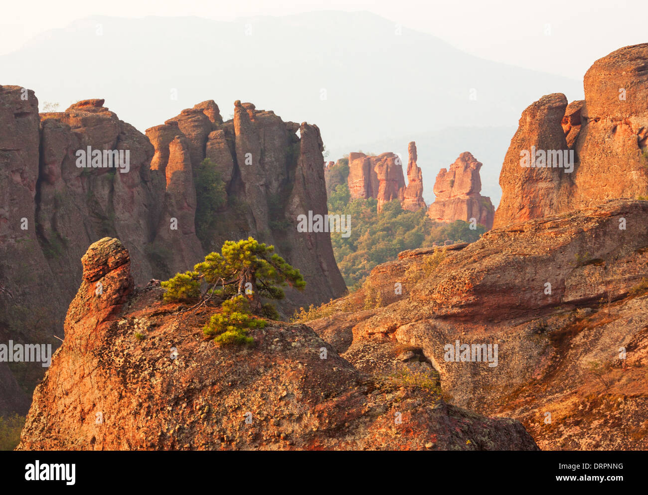 Belogradchik rocks and belogradchik fortress hi-res stock photography ...