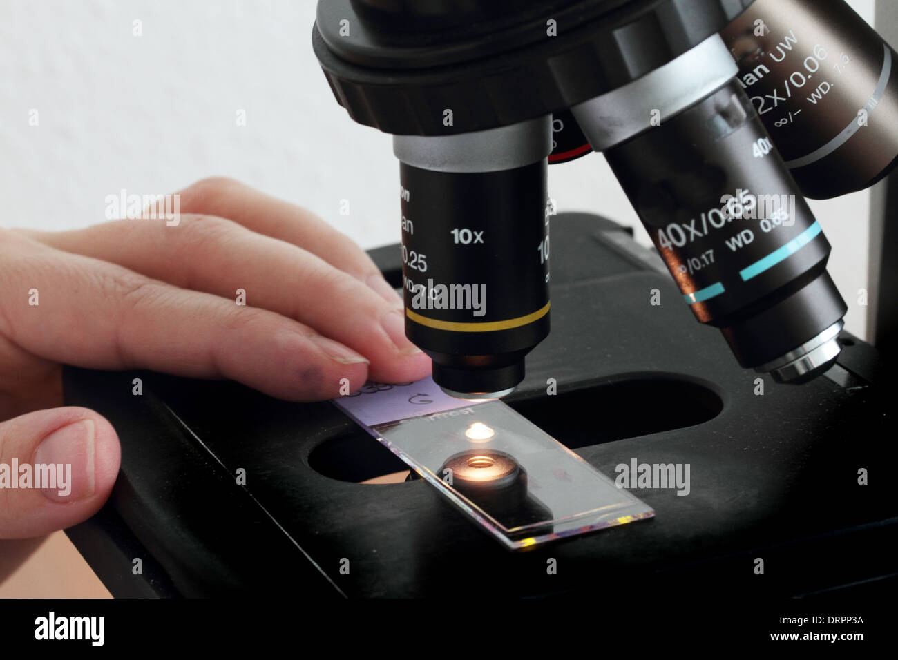 histology lab