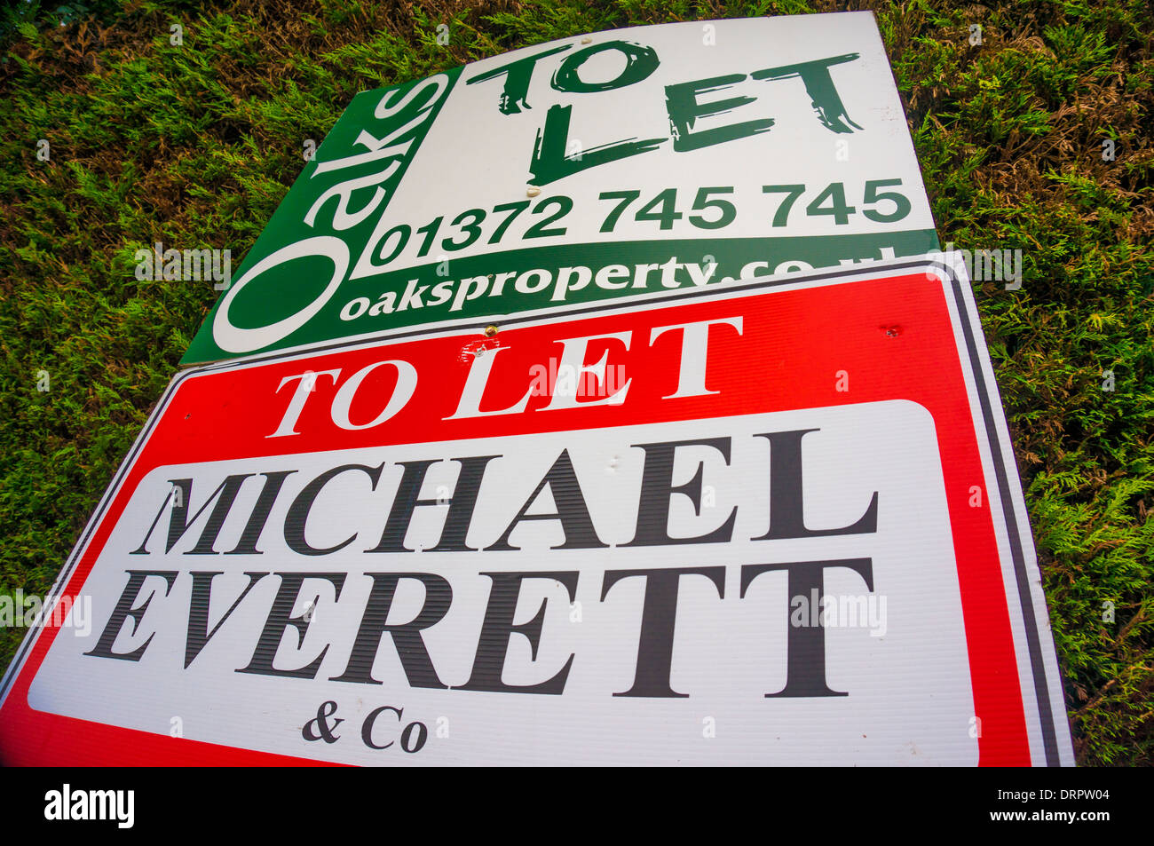A. house to let sign, in Epsom, Surrey, England, UK. Stock Photo